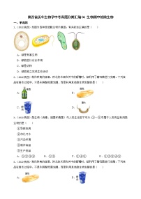 陕西省至2022年历年生物学中考真题分类汇编06 生物圈中的微生物及答案