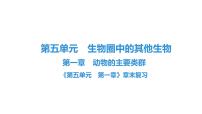 2021学年第一章   动物的主要类群综合与测试复习课件ppt