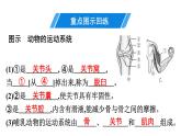 人教版生物八年级上册《第五单元　第二、三章》章末复习 课件