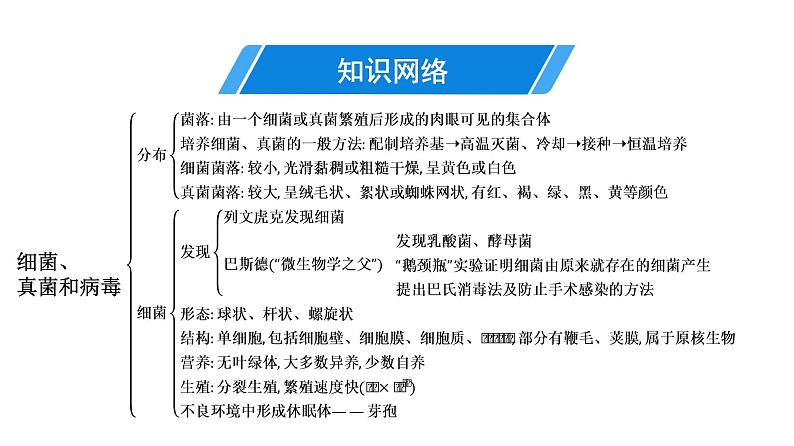 人教版生物八年级上册《第五单元　第四、五章》章末复习 课件第4页