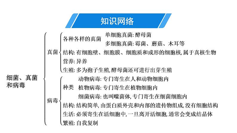 人教版生物八年级上册《第五单元　第四、五章》章末复习 课件第5页