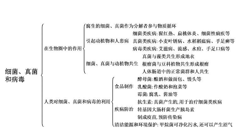 人教版生物八年级上册《第五单元　第四、五章》章末复习 课件第6页