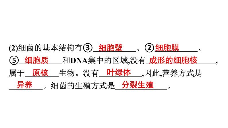 人教版生物八年级上册《第五单元　第四、五章》章末复习 课件第8页