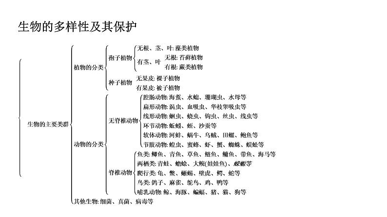 人教版生物八年级上册《第六单元》章末复习 课件04