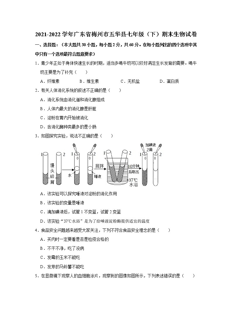 广东省梅州市五华县2021-2022学年七年级下学期期末生物试卷(word版含答案)第1页