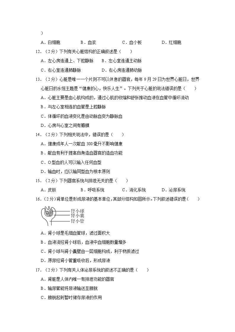 新疆克拉玛依市白碱滩区2021-2022学年七年级下学期期末生物试卷(word版含答案)03