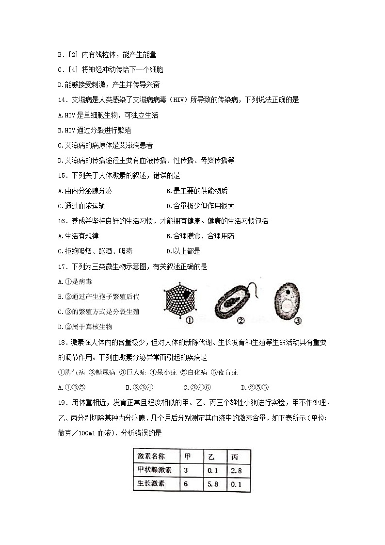 山东省烟台市蓬莱区（五四制）2021-2022学年七年级下学期期末考试生物试题(word版含答案)03