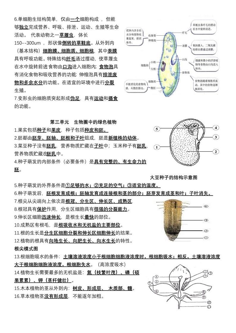 七年级上册生物分单元知识梳理第3页