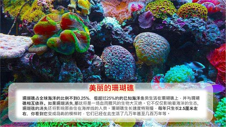 1.2.3生物圈是最大的生态系统课件2022-2023学年人教版七年级生物上册+第2页