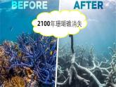 1.2.3生物圈是最大的生态系统课件2022-2023学年人教版七年级生物上册+