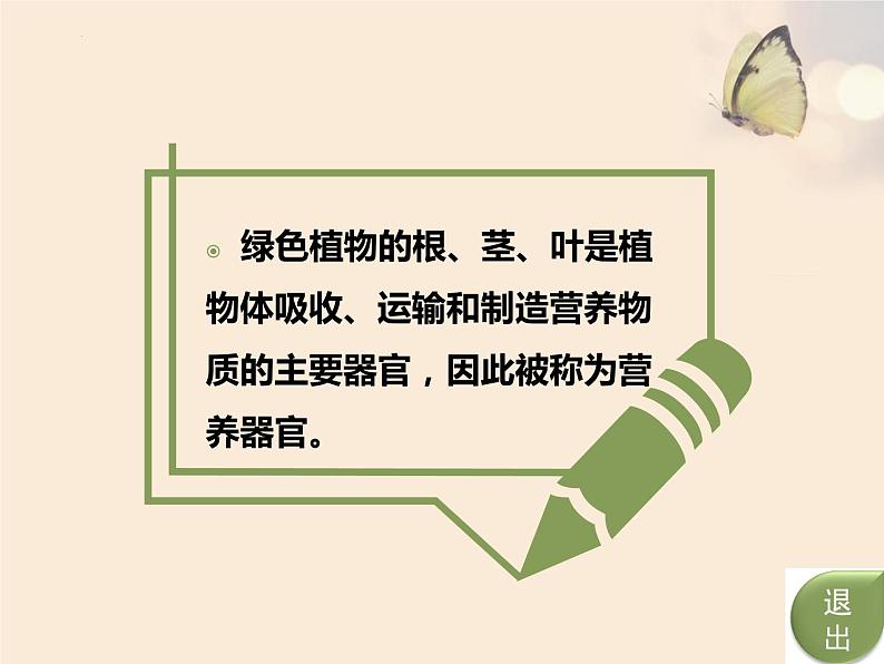 6.2营养器官的生长课件2022-2023学年北师大版七年级生物上册第3页