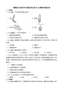 新疆至2022年生物学中考真题分类汇编06 生物圈中的微生物及答案