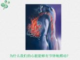 2.1+生物學是探索生命的科學+課件2022-2023學年北師大版七年級生物上冊