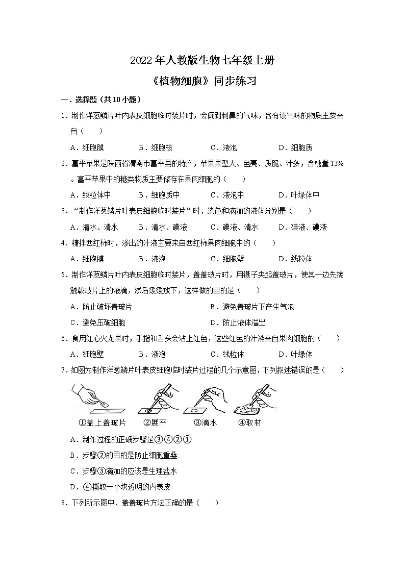 人教新版生物七年级上册《植物细胞》课件+教案+练习01
