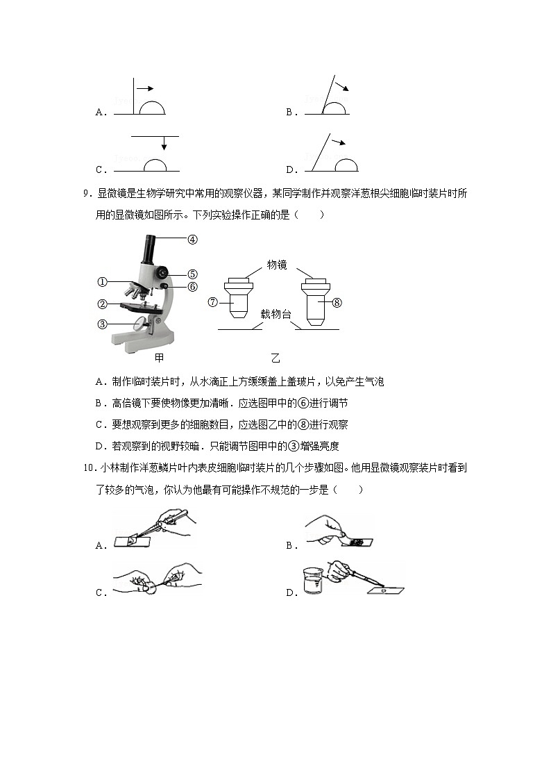 人教新版生物七年级上册《植物细胞》课件+教案+练习02