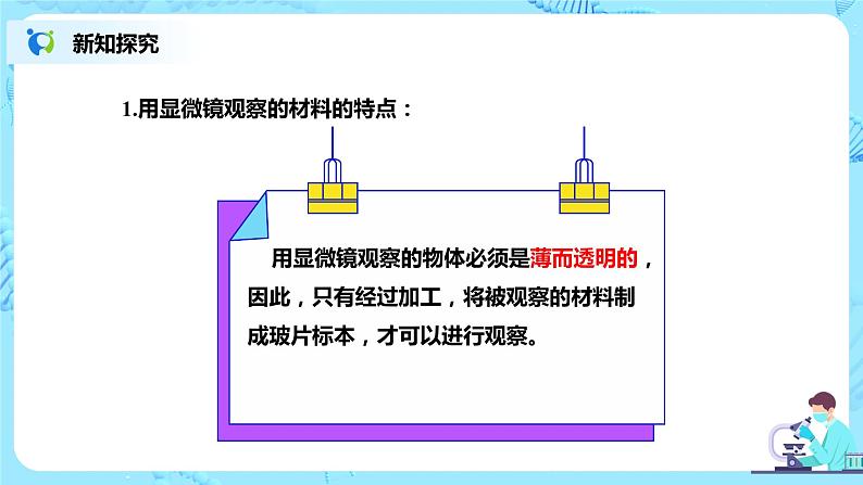 人教新版生物七年级上册《植物细胞》课件+教案+练习05