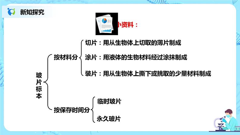 人教新版生物七年级上册《植物细胞》课件+教案+练习07