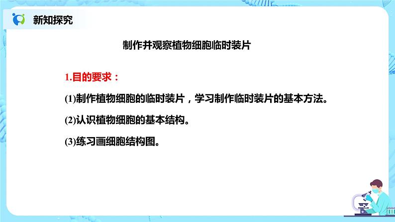 人教新版生物七年级上册《植物细胞》课件+教案+练习08