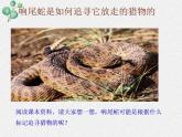 2.2+生物學(xué)研究的基本方法課件2022--2023學(xué)年北師大版七年級(jí)上冊(cè)生物