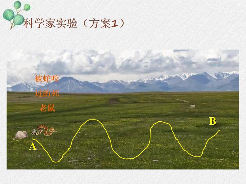 2.2+生物学研究的基本方法课件2022--2023学年北师大版七年级上册生物第7页