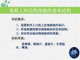 2.3.1+细胞的基本结构和功能（第二课时）课件2022-2023学年北师大版生物七年级上册