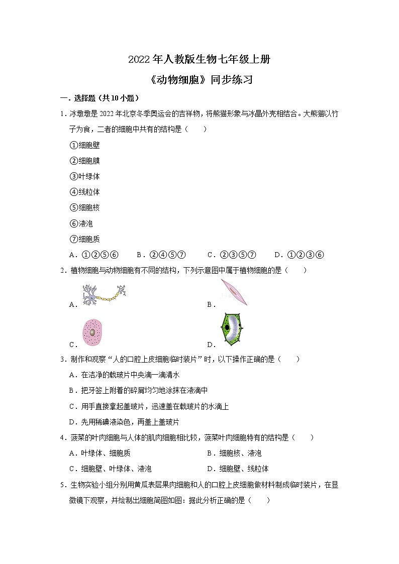 人教新版生物七年级上册《动物细胞》课件+教案+练习01
