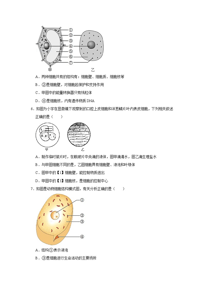 人教新版生物七年级上册《动物细胞》课件+教案+练习02