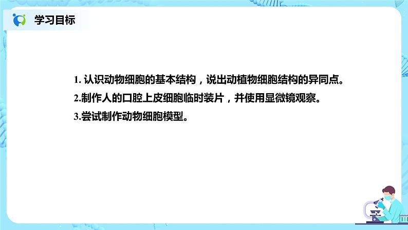 人教新版生物七年级上册《动物细胞》课件+教案+练习02