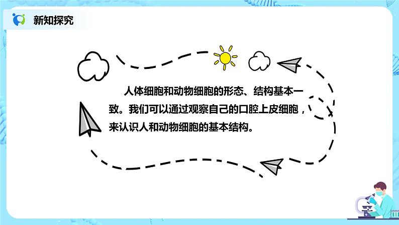 人教新版生物七年级上册《动物细胞》课件+教案+练习04