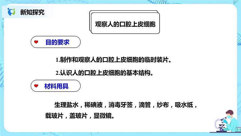 人教新版生物七年级上册《动物细胞》课件+教案+练习05