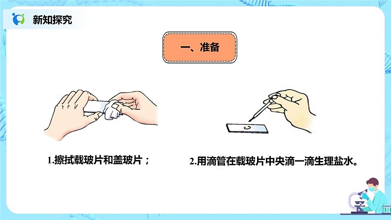人教新版生物七年级上册《动物细胞》课件+教案+练习06