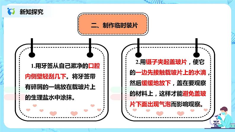 人教新版生物七年级上册《动物细胞》课件+教案+练习07