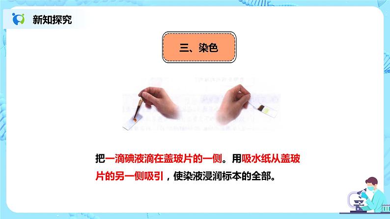 人教新版生物七年级上册《动物细胞》课件+教案+练习08