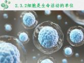3.2+细胞是生命活动的单位课件+2022-2023学年北师大版七年级生物上册
