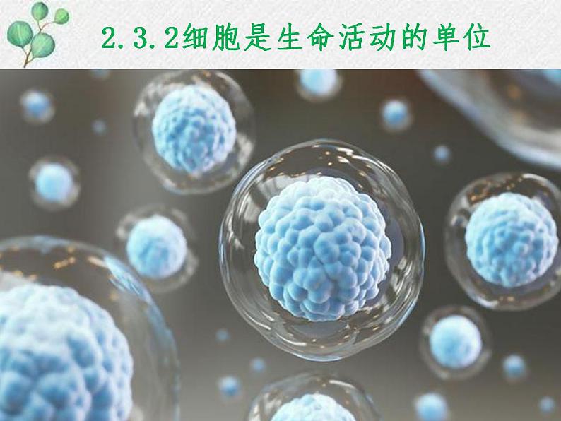 3.2+细胞是生命活动的单位课件+2022-2023学年北师大版七年级生物上册01