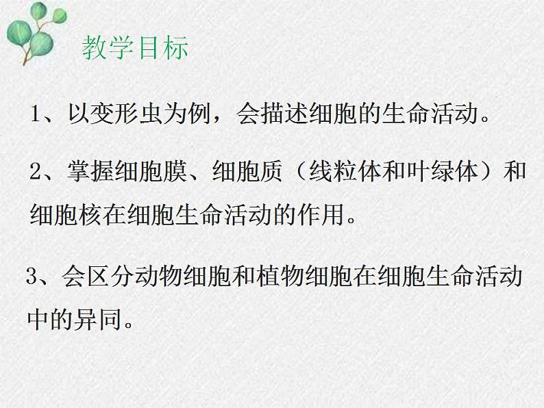 3.2+细胞是生命活动的单位课件+2022-2023学年北师大版七年级生物上册02