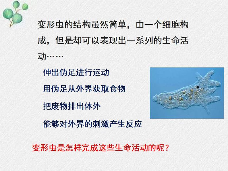 3.2+细胞是生命活动的单位课件+2022-2023学年北师大版七年级生物上册05