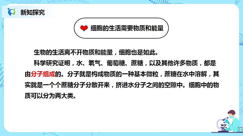 人教新版生物七年级上册《细胞的生活》课件+教案+练习06