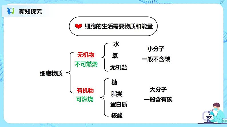 人教新版生物七年级上册《细胞的生活》课件+教案+练习07