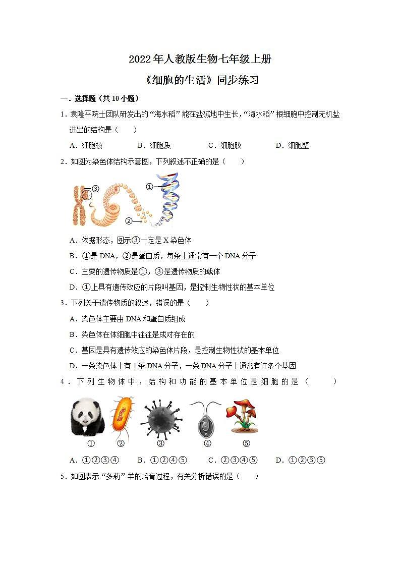 2022年人教新版生物七年级上册《细胞的生活》同步练习第1页