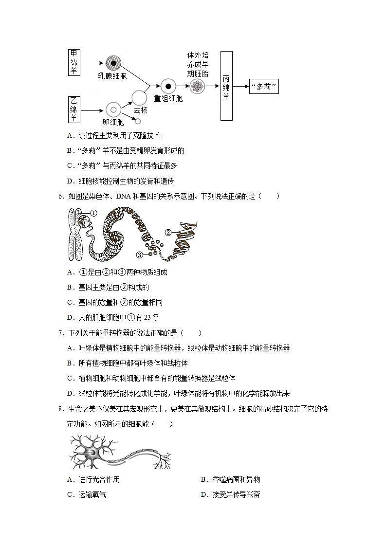 2022年人教新版生物七年级上册《细胞的生活》同步练习第2页
