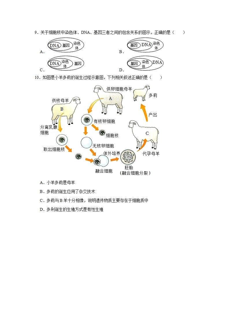 2022年人教新版生物七年级上册《细胞的生活》同步练习第3页