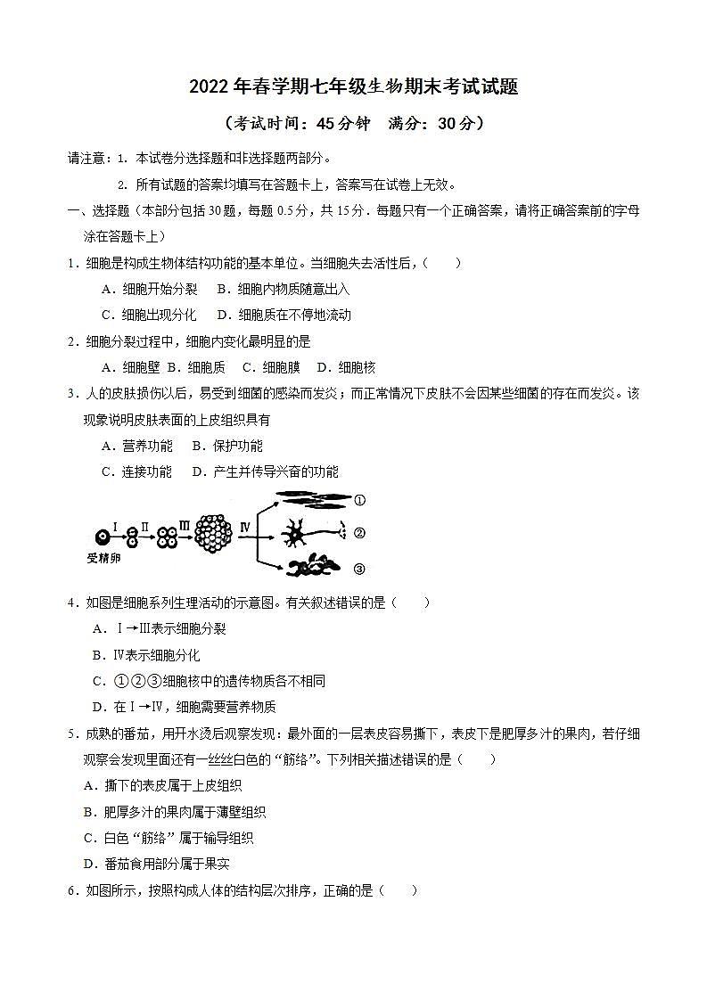 江苏省泰州市海陵区某校2021-2022学年七年级下学期期末考试生物试题(word版含答案)01