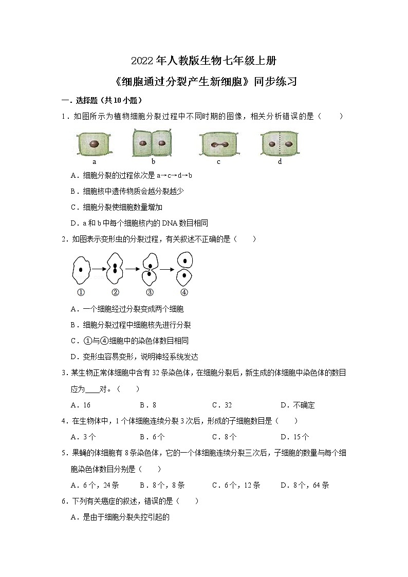 2022年人教版生物七年级上册《细胞通过分裂产生新细胞》同步练习第1页