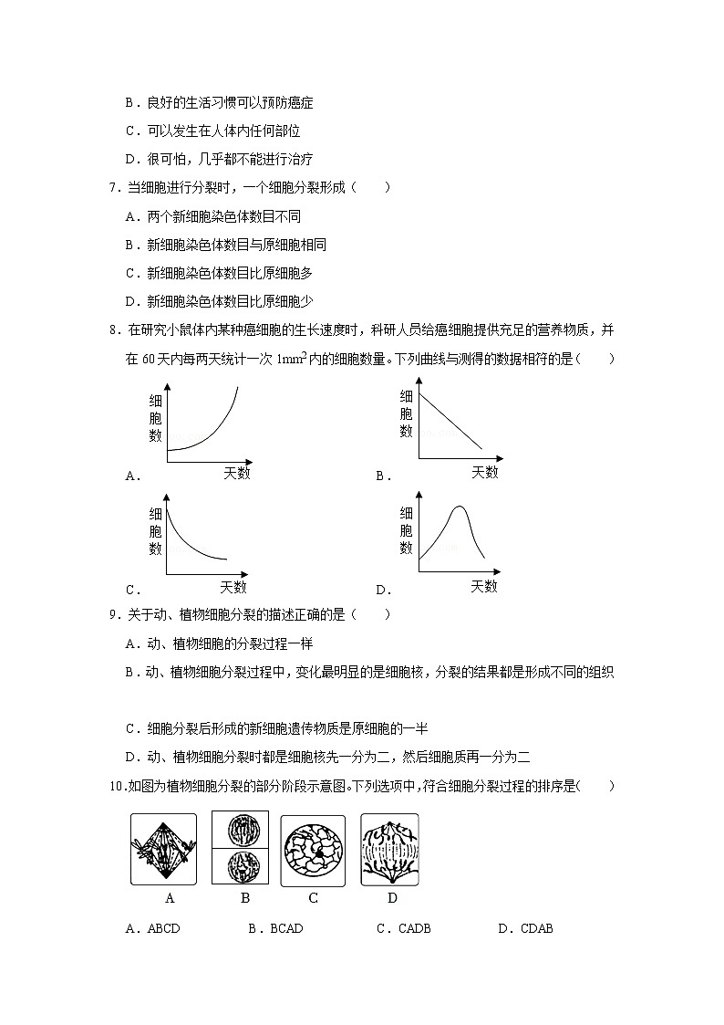2022年人教版生物七年级上册《细胞通过分裂产生新细胞》同步练习第2页