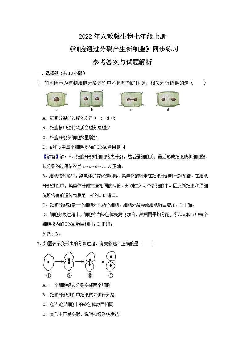 2022年人教版生物七年级上册《细胞通过分裂产生新细胞》同步练习第3页