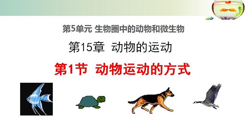 15.1动物运动的方式++课件2022-2023学年北师大版生物八年级上册第1页