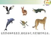 15.1动物运动的方式++课件2022-2023学年北师大版生物八年级上册