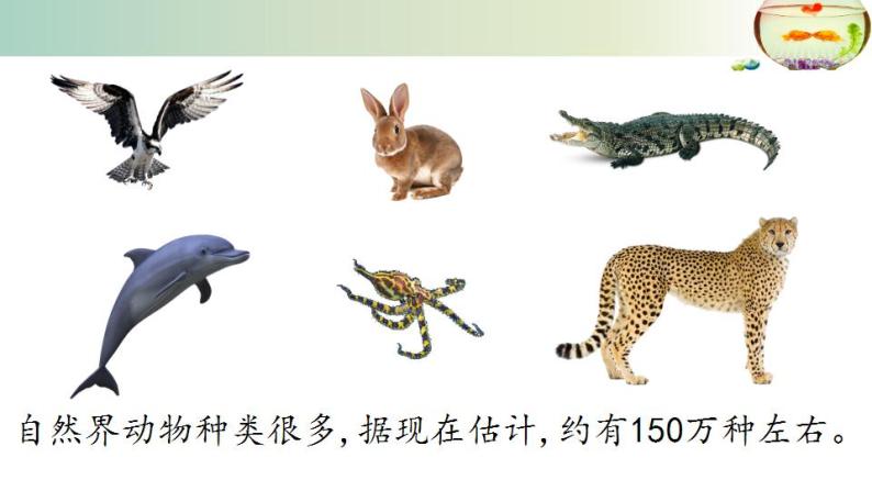 15.1动物运动的方式++课件2022-2023学年北师大版生物八年级上册02