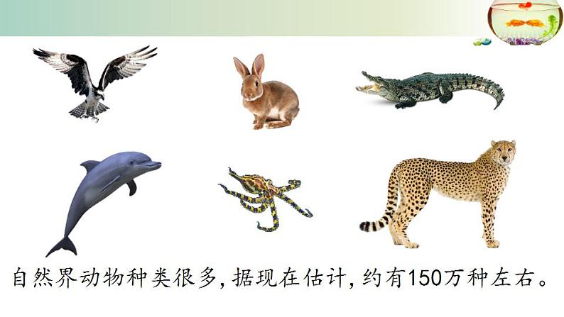 15.1动物运动的方式++课件2022-2023学年北师大版生物八年级上册第2页